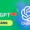 ChatGPT Plus 1 tháng gia hạn chính chủ
