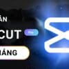 Tài khoản Capcut Pro 1 tháng