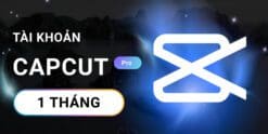 Tài khoản Capcut Pro 1 tháng