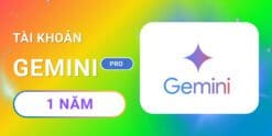 Google AI Gemini Pro 1 năm