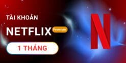 Netflix Premium 1 tháng