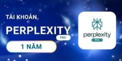 Perplexity Pro 1 năm