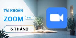 Zoom Pro 6 tháng – Tài khoản, họp không giới hạn thời gian